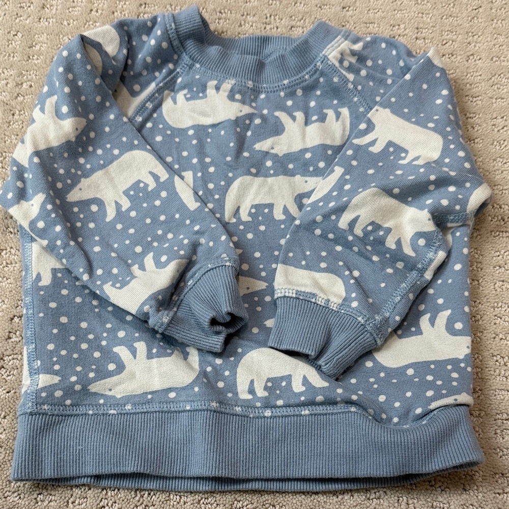 Hanna Andersson Blue and White Polar Bear Sweatshirt